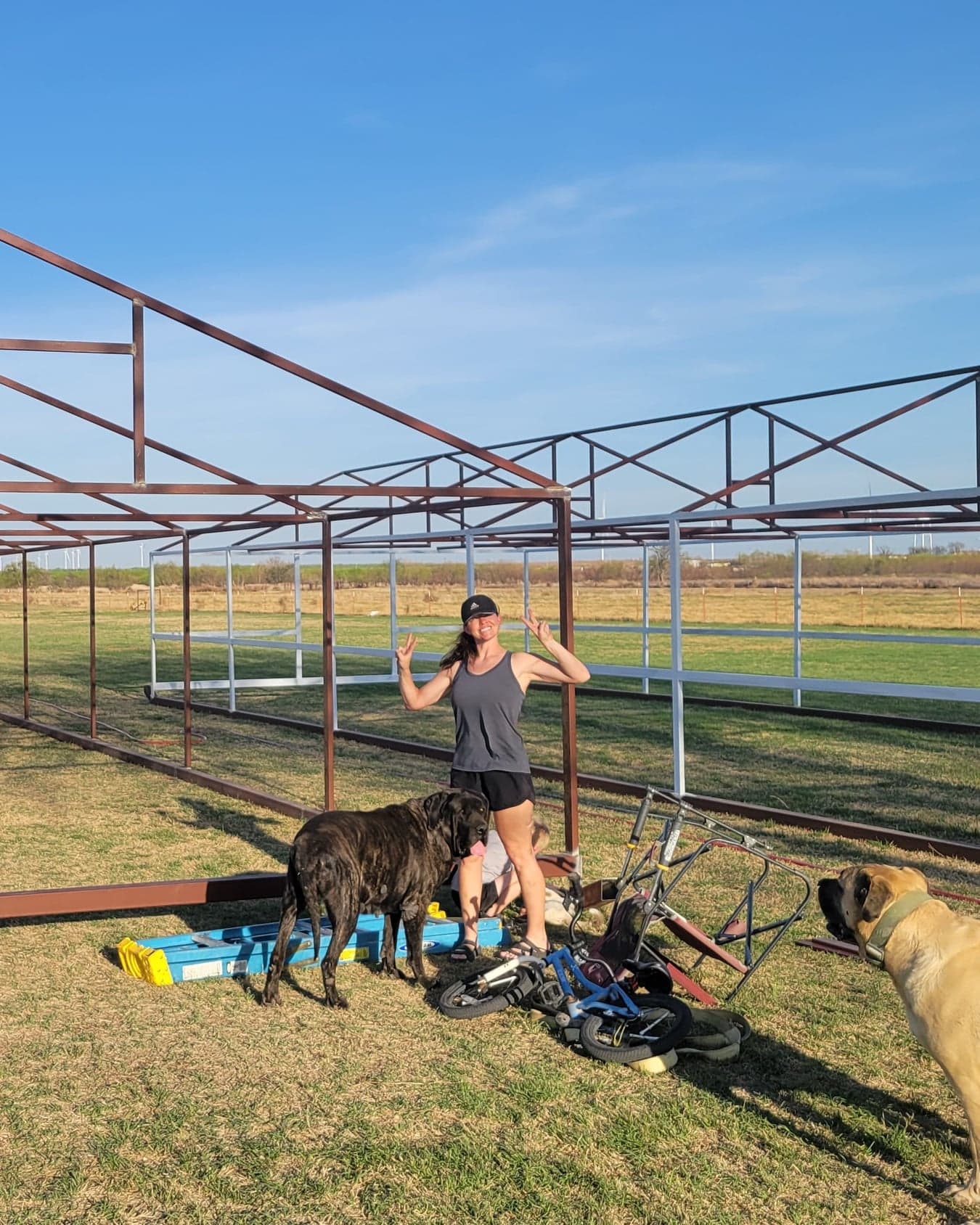 A member of the Kings Farm TX family out in the pasture with the farm dogs, part-way through building a mobile coop frame.