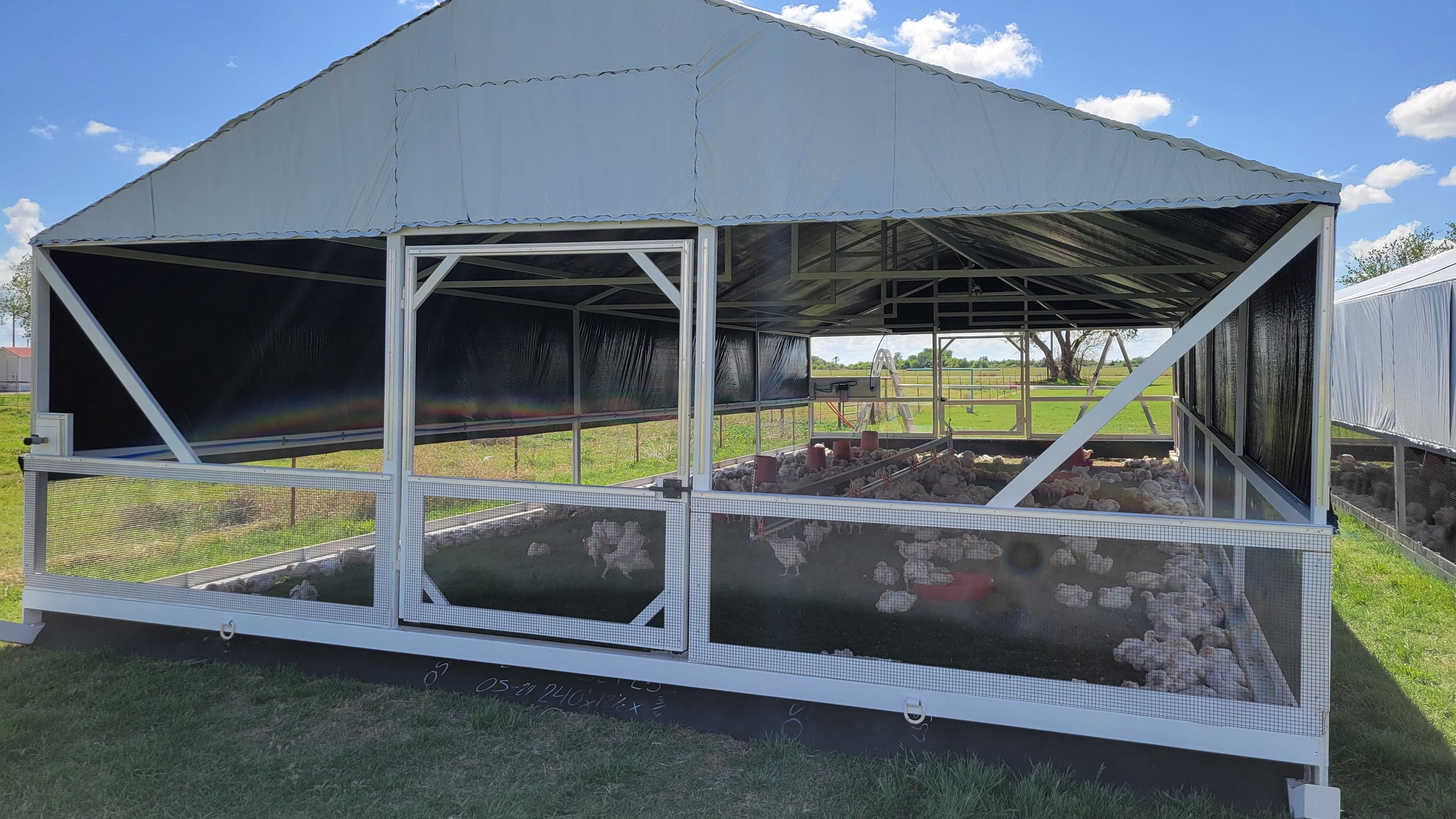 The open side of a mobile coop with the flock inside, parked on fresh pasture.
