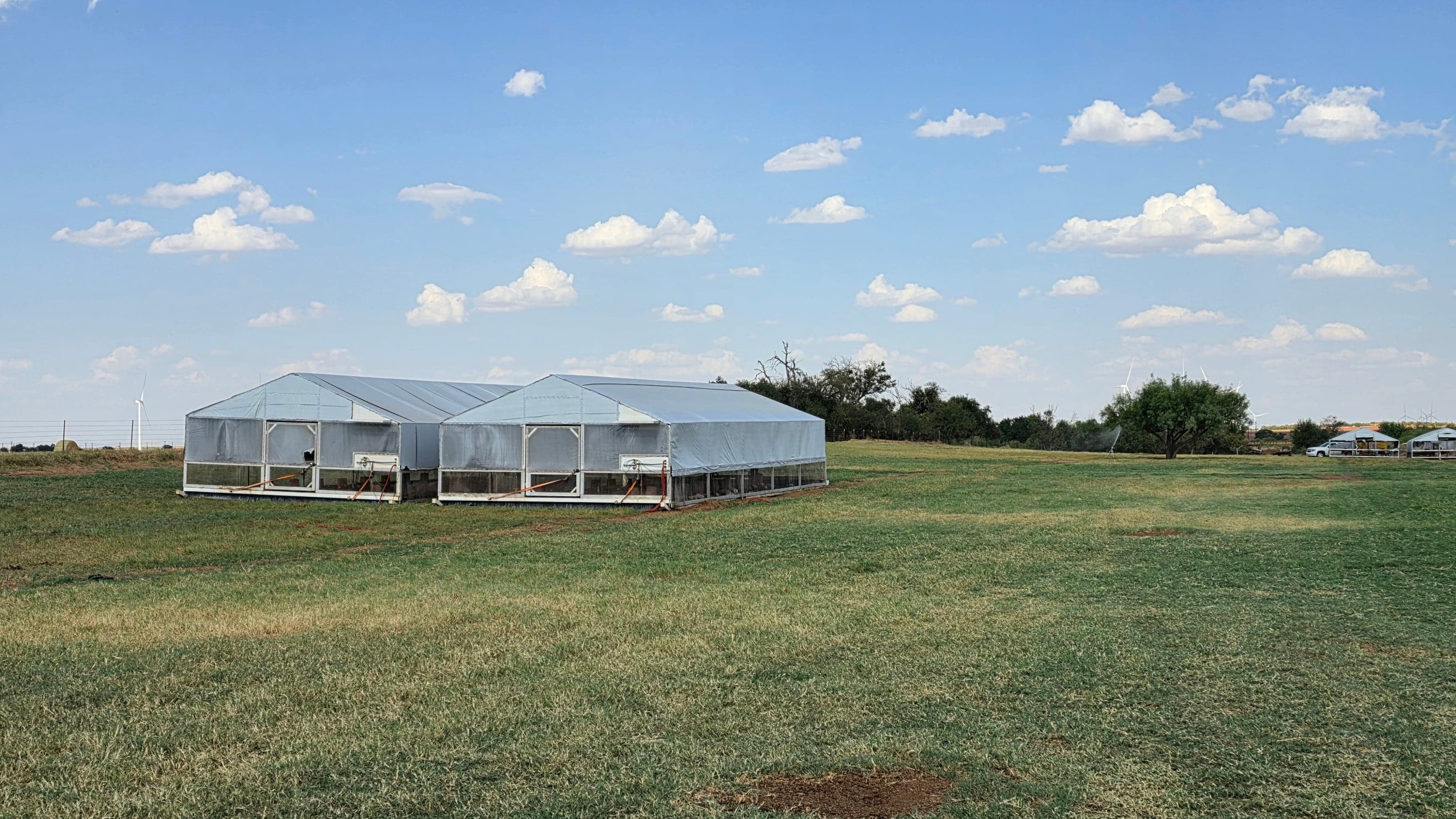 A pair of mobile coops sitting out in the pasture between moves, under an open Texas sky.